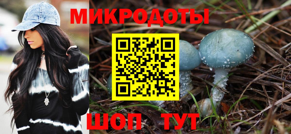 Псилоцибиновые грибы мухоморы Горячий Ключ